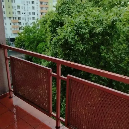 Med * Нови-Сад